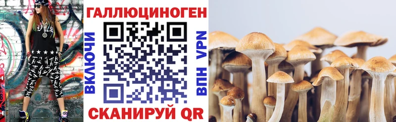 Галлюциногенные грибы Cubensis  даркнет сайт  Купино 